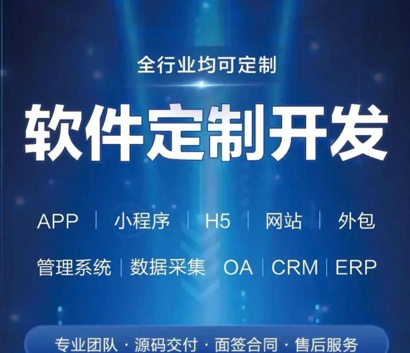 软件开发：从项目规划到产品落地